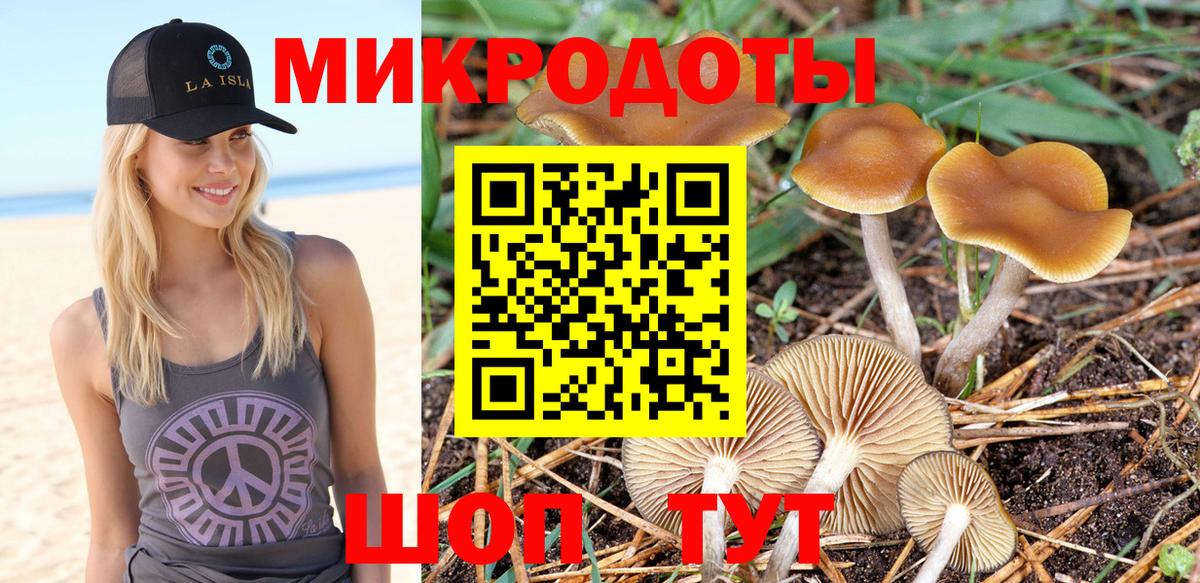 Сибай  Псилоцибиновые грибы MAGIC MUSHROOMS  даркнет сайт  Вход с VPN 